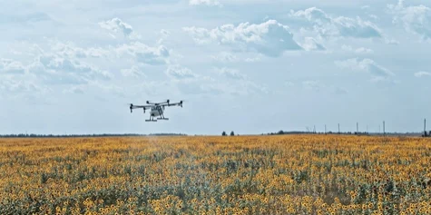 Agricultural drone spraying a sunflower field under a bright sky, showcasing precision crop spraying, pest control, and efficient agricultural solutions.